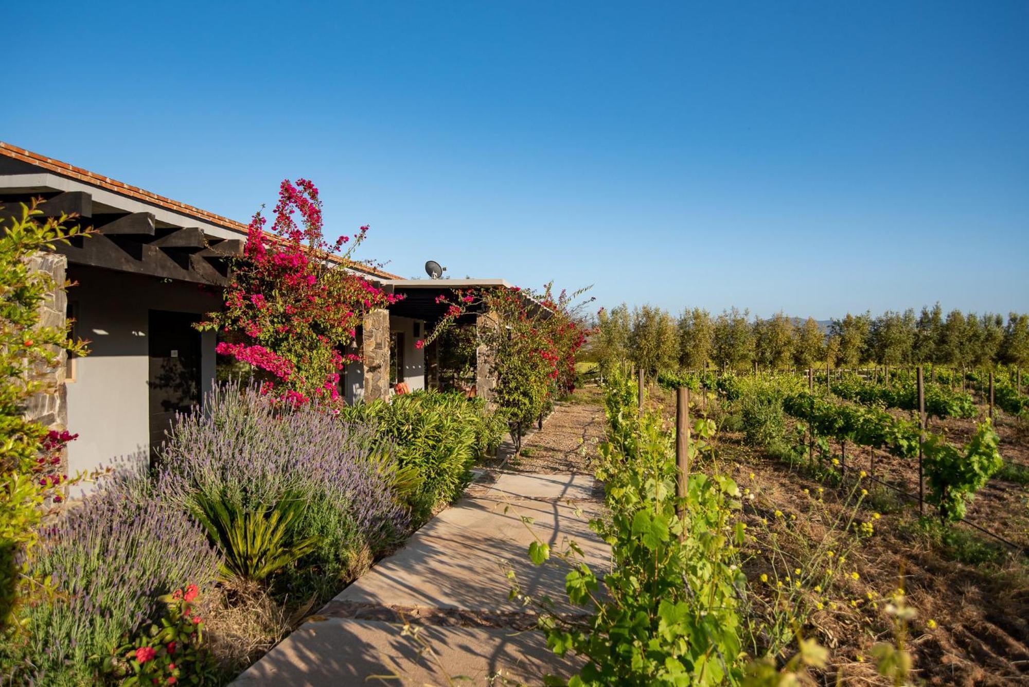 Hotel Atika Retreat Valle de Guadalupe Zewnętrze zdjęcie